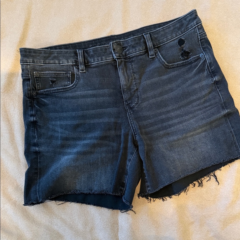American Eagle Outfitters Dark Blue Denim Jean Shorts